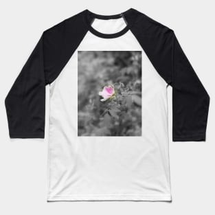 elegant old fashioned pink rose Baseball T-Shirt